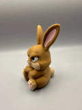 Grumpy Bunny
