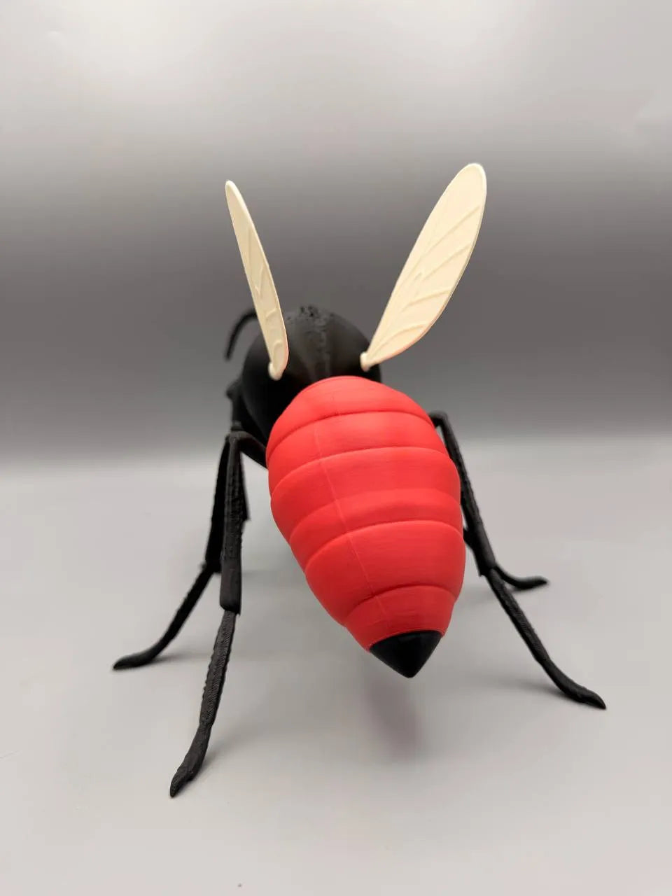 Grumpy Mosquito
