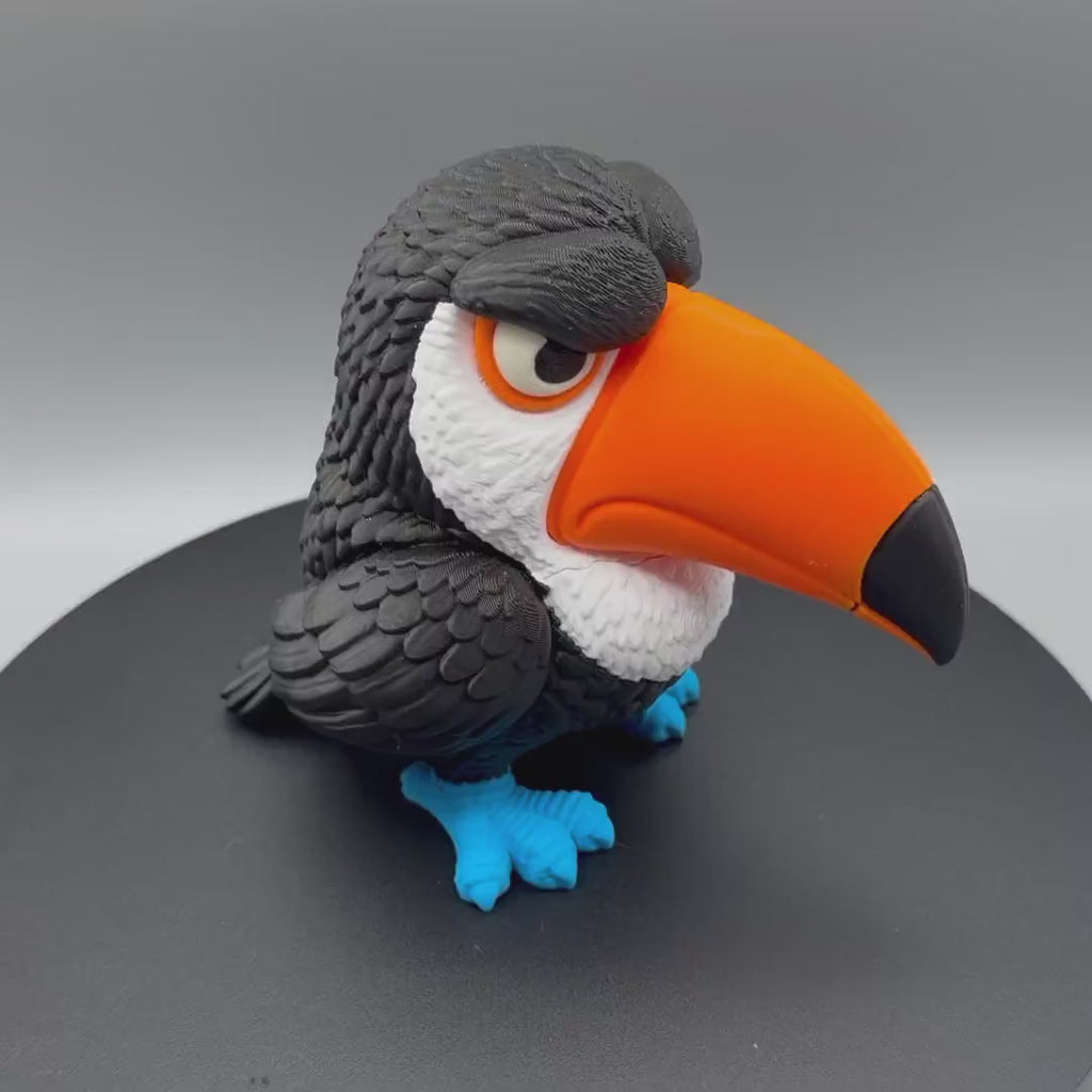 Grumpy Toucan