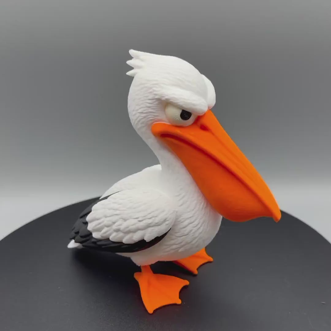 Grumpy Pelican