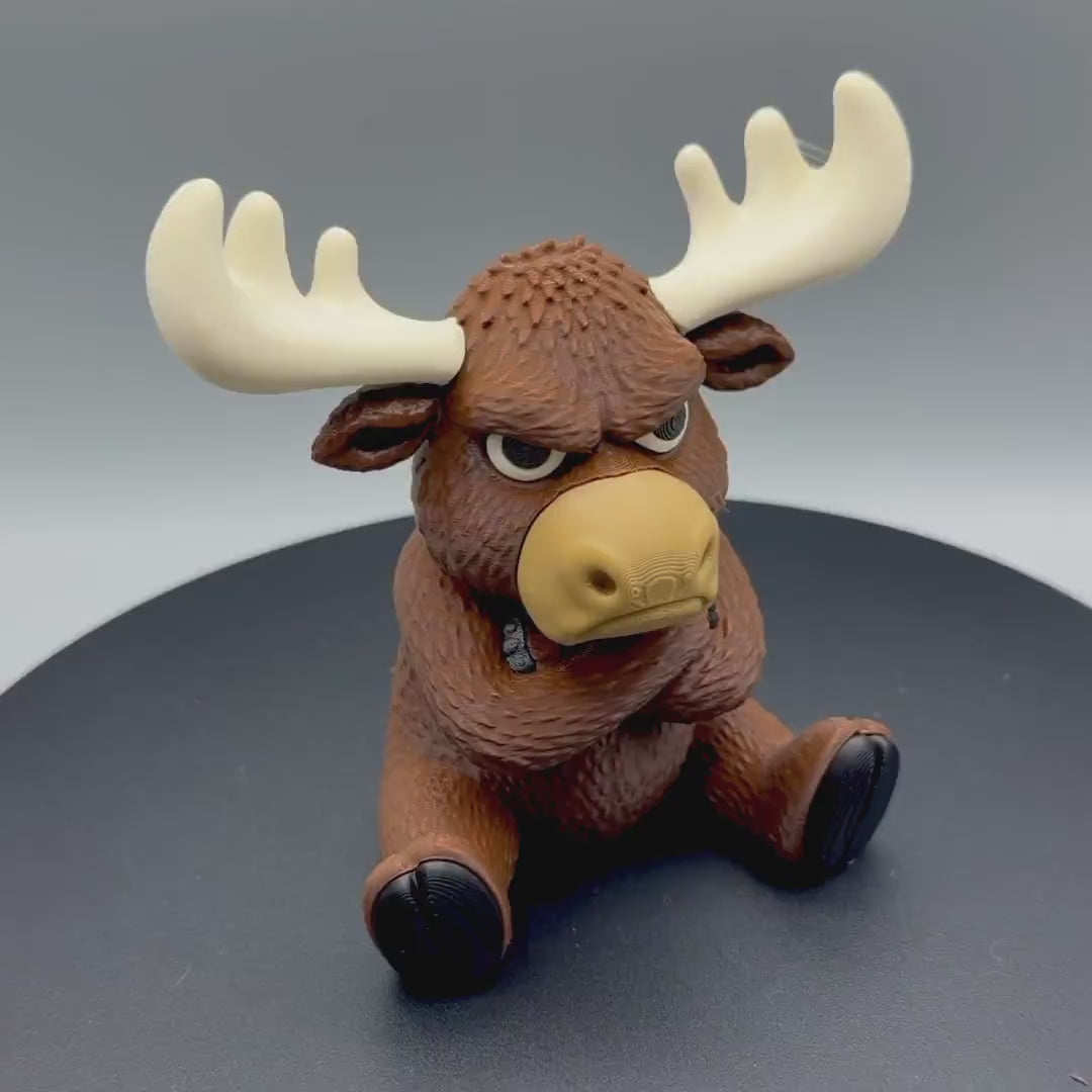 Grumpy Moose